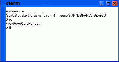 Окно xterm появившееся в результате