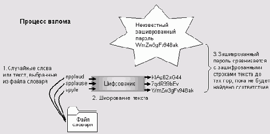 Процесс подбора пароля
